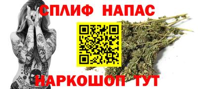 спиды Тара