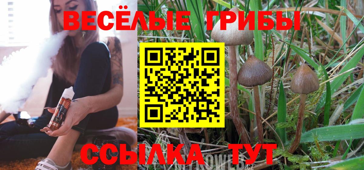 Псилоцибиновые грибы GOLDEN TEACHER Нерюнгри